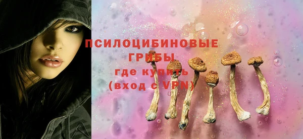 крисы Аркадак