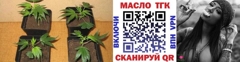 ТГК концентрат  площадка наркотические препараты  Магас 
